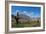 Towering cactus in the tortured Jujuy landscape, Argentina, South America-Alex Treadway-Framed Photographic Print