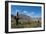 Towering cactus in the tortured Jujuy landscape, Argentina, South America-Alex Treadway-Framed Photographic Print