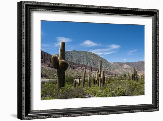 Towering cactus in the tortured Jujuy landscape, Argentina, South America-Alex Treadway-Framed Photographic Print