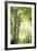 Towering Maples IV-Elizabeth Urquhart-Framed Photo