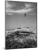 Towering Palm Tree Swayed by Wind as It Stands Next to House on Sandy Beach in Desolate Area-Eliot Elisofon-Mounted Photographic Print