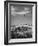 Towering Palm Tree Swayed by Wind as It Stands Next to House on Sandy Beach in Desolate Area-Eliot Elisofon-Framed Photographic Print