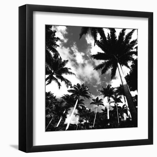 Towering Palms-Malcolm Sanders-Framed Giclee Print