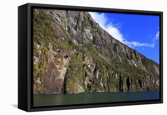 Towering Peaks and Narrow Gorge of Milford Sound on the South Island of New Zealand-Paul Dymond-Framed Premier Image Canvas