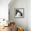 Towering-Evan Morris Cohen-Framed Photographic Print displayed on a wall