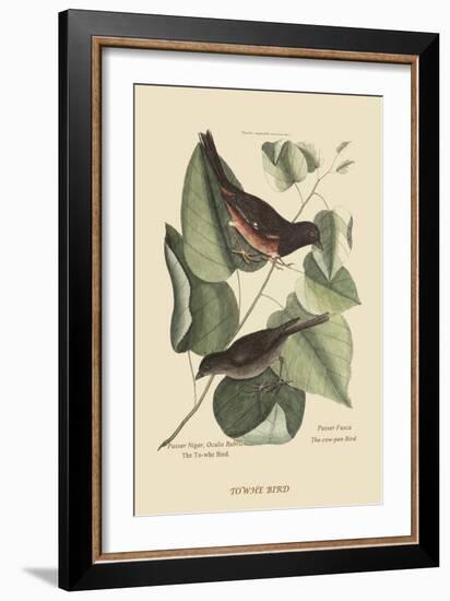Towhe Bird-Mark Catesby-Framed Premium Giclee Print