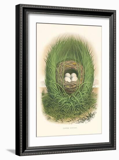 Towhee Bunting Nest and Eggs-null-Framed Art Print