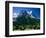 Town and Mountains, Grindelwald, Alps, Switzerland-Steve Vidler-Framed Photographic Print