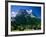 Town and Mountains, Grindelwald, Alps, Switzerland-Steve Vidler-Framed Photographic Print