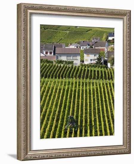 Town and Vineyards, Oger, Champagne Region, Marne, France-Walter Bibikow-Framed Photographic Print