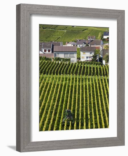 Town and Vineyards, Oger, Champagne Region, Marne, France-Walter Bibikow-Framed Photographic Print