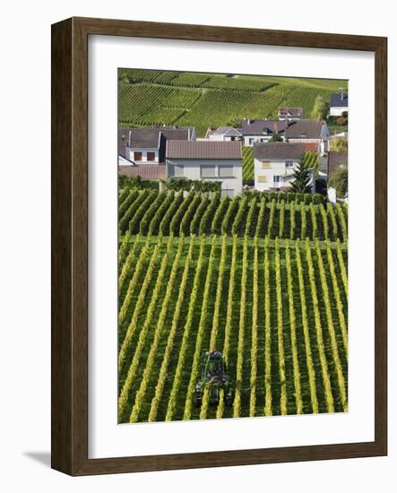 Town and Vineyards, Oger, Champagne Region, Marne, France-Walter Bibikow-Framed Photographic Print