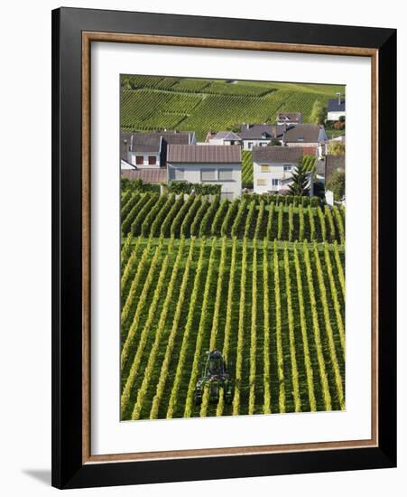Town and Vineyards, Oger, Champagne Region, Marne, France-Walter Bibikow-Framed Photographic Print