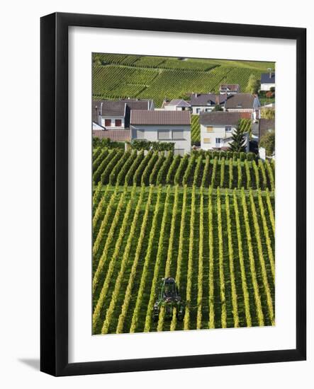 Town and Vineyards, Oger, Champagne Region, Marne, France-Walter Bibikow-Framed Photographic Print