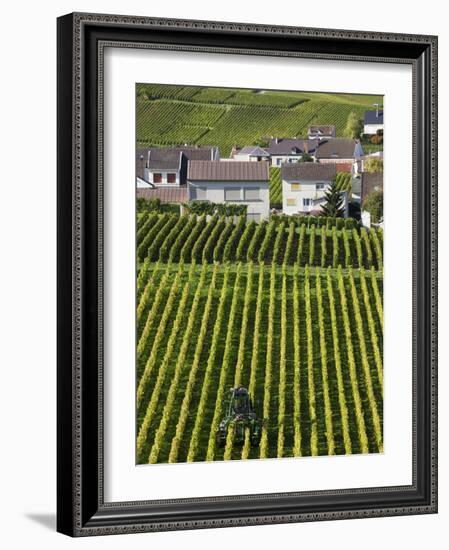 Town and Vineyards, Oger, Champagne Region, Marne, France-Walter Bibikow-Framed Photographic Print