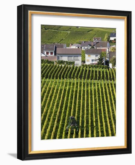 Town and Vineyards, Oger, Champagne Region, Marne, France-Walter Bibikow-Framed Photographic Print