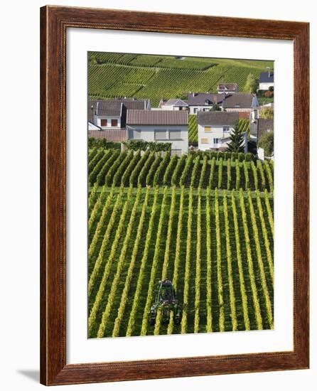 Town and Vineyards, Oger, Champagne Region, Marne, France-Walter Bibikow-Framed Photographic Print