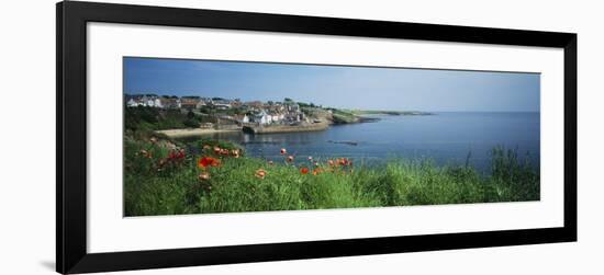 Town at the Waterfront, Crail, Fife, Scotland-null-Framed Photographic Print