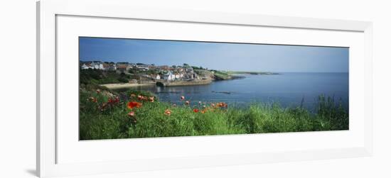 Town at the Waterfront, Crail, Fife, Scotland-null-Framed Photographic Print