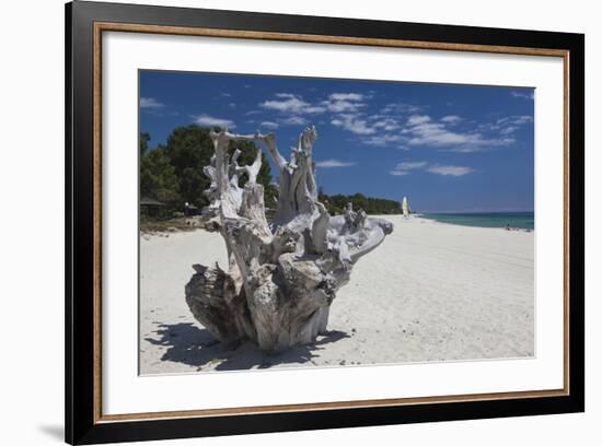 Town Beach Driftwood, Ghisonaccia, Costa Derena, Corsica, France-Walter Bibikow-Framed Photographic Print