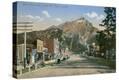 Stretched Canvas Print