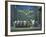 Town Meeting with Murals by Rodolfo Morales, Oaxaca, Mexico-Judith Haden-Framed Photographic Print