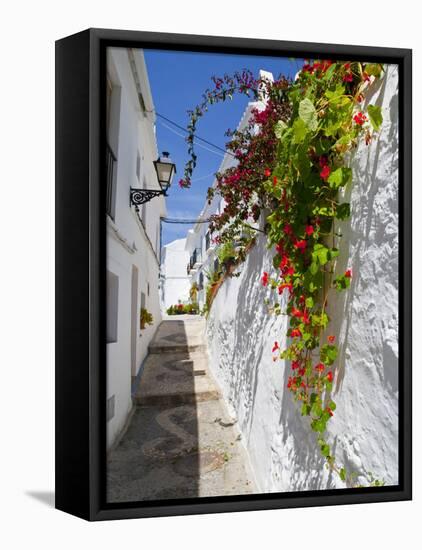 Town of Frigiliana, White Town in Andalusia, Spain-Carlos Sánchez Pereyra-Framed Premier Image Canvas