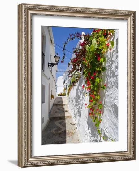 Town of Frigiliana, White Town in Andalusia, Spain-Carlos Sánchez Pereyra-Framed Photographic Print