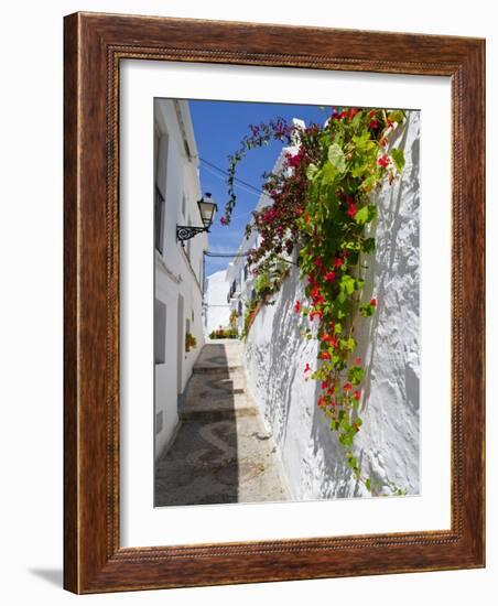 Town of Frigiliana, White Town in Andalusia, Spain-Carlos Sánchez Pereyra-Framed Photographic Print