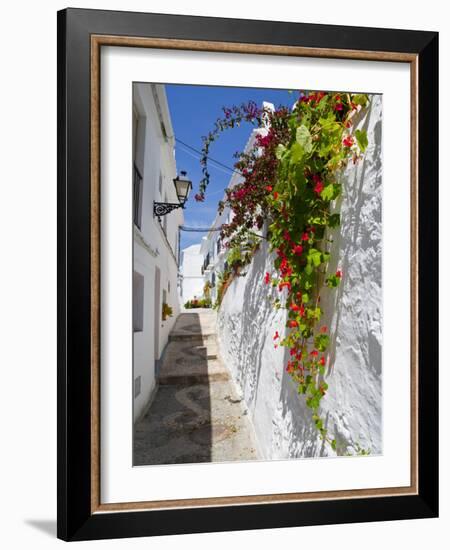 Town of Frigiliana, White Town in Andalusia, Spain-Carlos Sánchez Pereyra-Framed Photographic Print