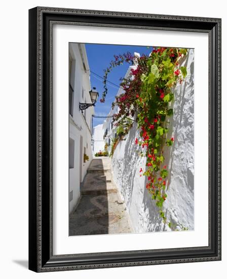 Town of Frigiliana, White Town in Andalusia, Spain-Carlos Sánchez Pereyra-Framed Photographic Print