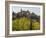 Town View of Valldemossa, Majorca, Spain-Rainer Mirau-Framed Photographic Print