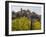 Town View of Valldemossa, Majorca, Spain-Rainer Mirau-Framed Photographic Print