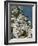 Town View, Positano, Amalfi Coast, Campania, Italy-Walter Bibikow-Framed Photographic Print