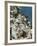 Town View, Positano, Amalfi Coast, Campania, Italy-Walter Bibikow-Framed Photographic Print