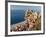 Town View With Castello Ruffo, Scilla, Calabria, Italy-Peter Adams-Framed Photographic Print