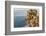 Town View with Castello Ruffo, Scilla, Calabria, Italy-Peter Adams-Framed Photographic Print