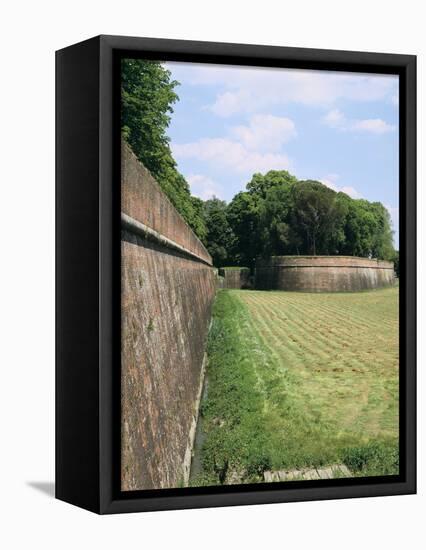 Town Walls, Lucca, Tuscany, Italy-Peter Thompson-Framed Premier Image Canvas