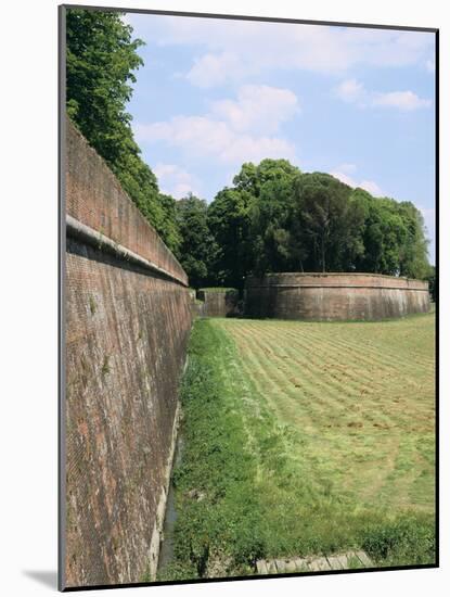 Town Walls, Lucca, Tuscany, Italy-Peter Thompson-Mounted Photographic Print