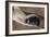 Townsend Mole-Louis Agassiz Fuertes-Framed Giclee Print