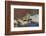 Townsend's Chipmunk-Ken Archer-Framed Photographic Print