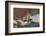 Townsend's Chipmunk-Ken Archer-Framed Photographic Print