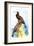 Townsend's Cormorant-Theodore Jasper-Framed Art Print