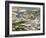 Townsville, Queensland, Australia, Pacific-Tony Waltham-Framed Photographic Print