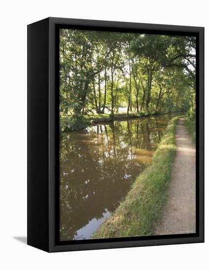 Towpath, Monmouth and Brecon Canal, Tal Y Bont, Powys, Mid-Wales, Wales, United Kingdom-David Hughes-Framed Premier Image Canvas