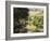 Towpath, Monmouth and Brecon Canal, Tal Y Bont, Powys, Mid-Wales, Wales, United Kingdom-David Hughes-Framed Photographic Print