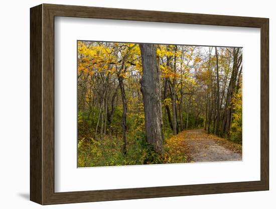 Towpath Trail in Autumn in Cuyahoga National Park, Ohio, USA-Chuck Haney-Framed Photographic Print