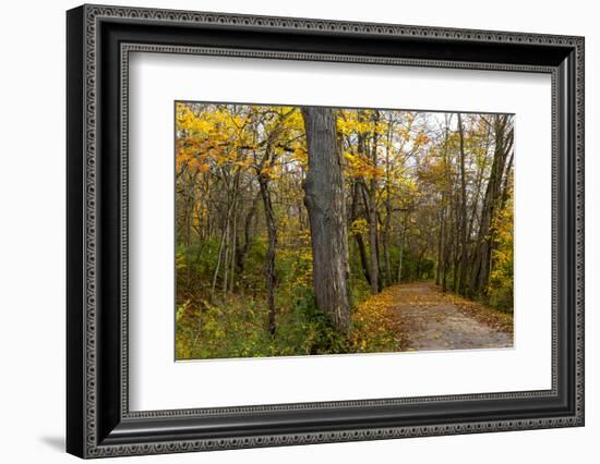 Towpath Trail in Autumn in Cuyahoga National Park, Ohio, USA-Chuck Haney-Framed Photographic Print