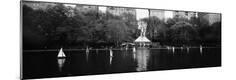 Photographic Print