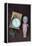 Toy Doll and Watch-Den Reader-Framed Premier Image Canvas